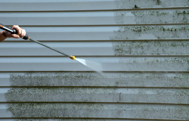 Best Mold Remediation  in Bonny Doon, CA