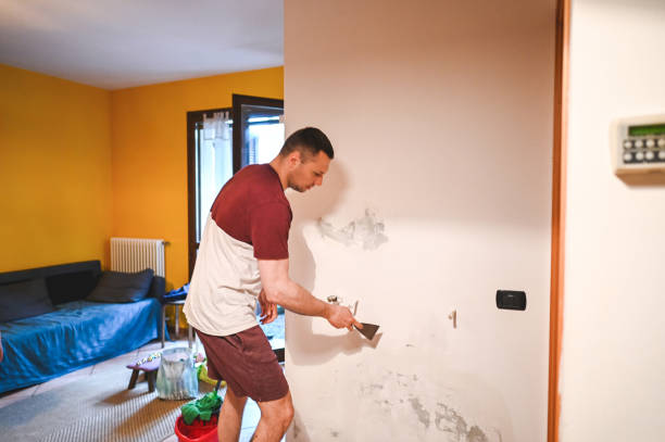 Home Mold Removal in Bonny Doon, CA